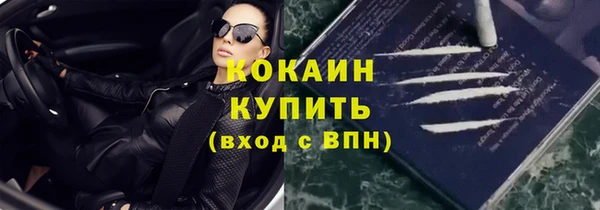 прущие грибы Абинск