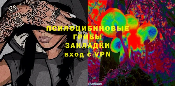 прущие грибы Абинск