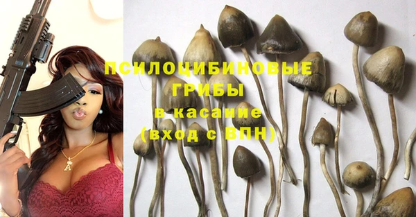 ПСИЛОЦИБИНОВЫЕ ГРИБЫ Абдулино